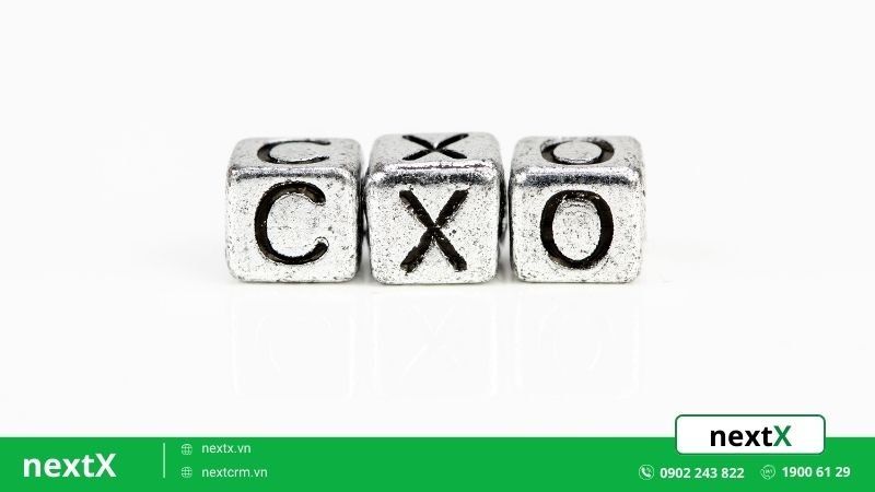 cxo là gì