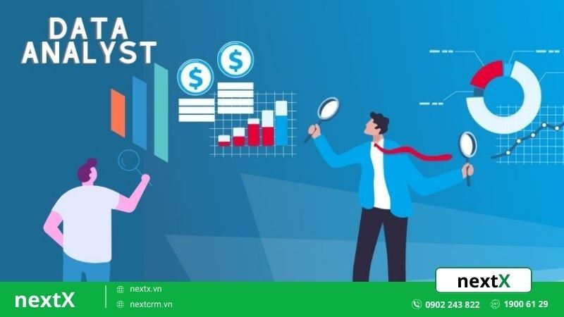Data Analyst