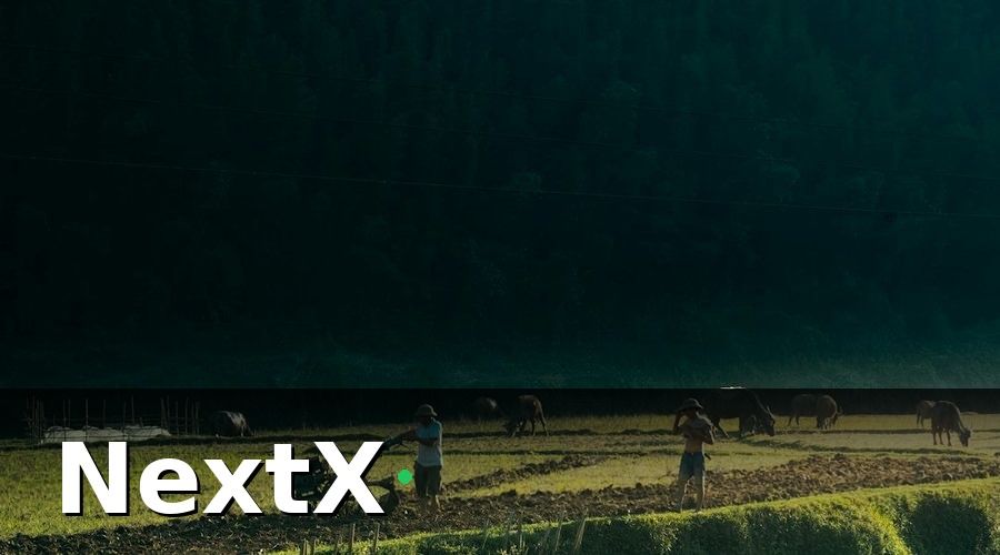 NextX — Kết quả thực tế sau 30 ngày