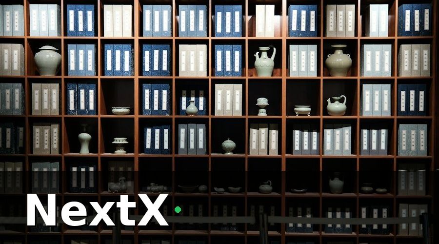 NextX — Các loại gợi ý phổ biến cho VLXD