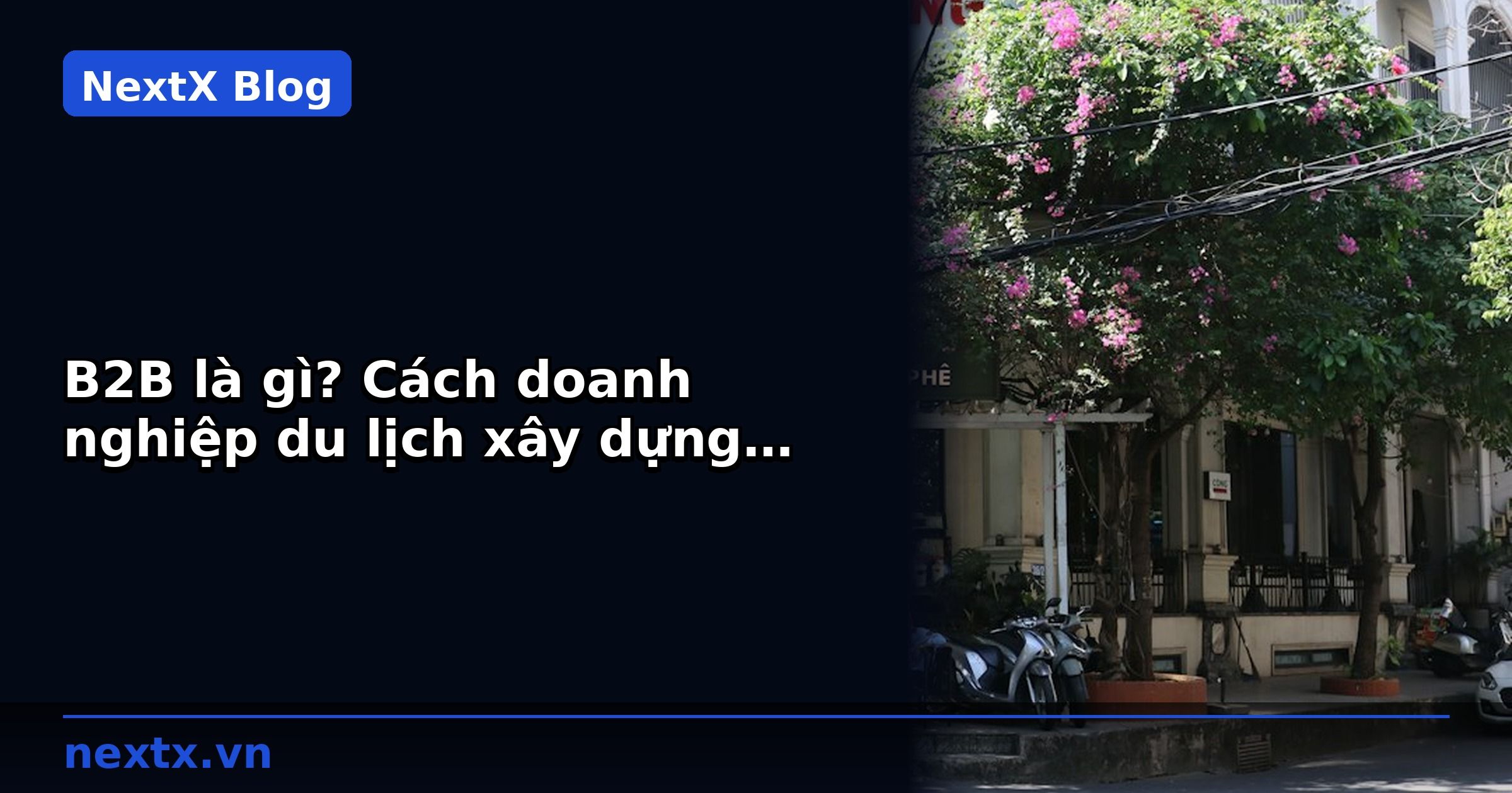 B2B là gì? Cách doanh nghiệp du lịch xây dựng kênh đại lý tour bền vững | NextX