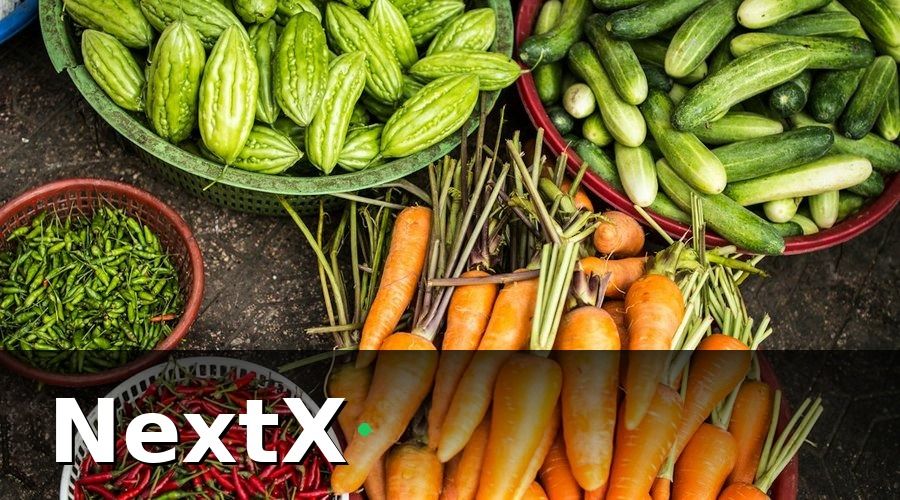 NextX — Đặc thù B2B nông sản Việt Nam