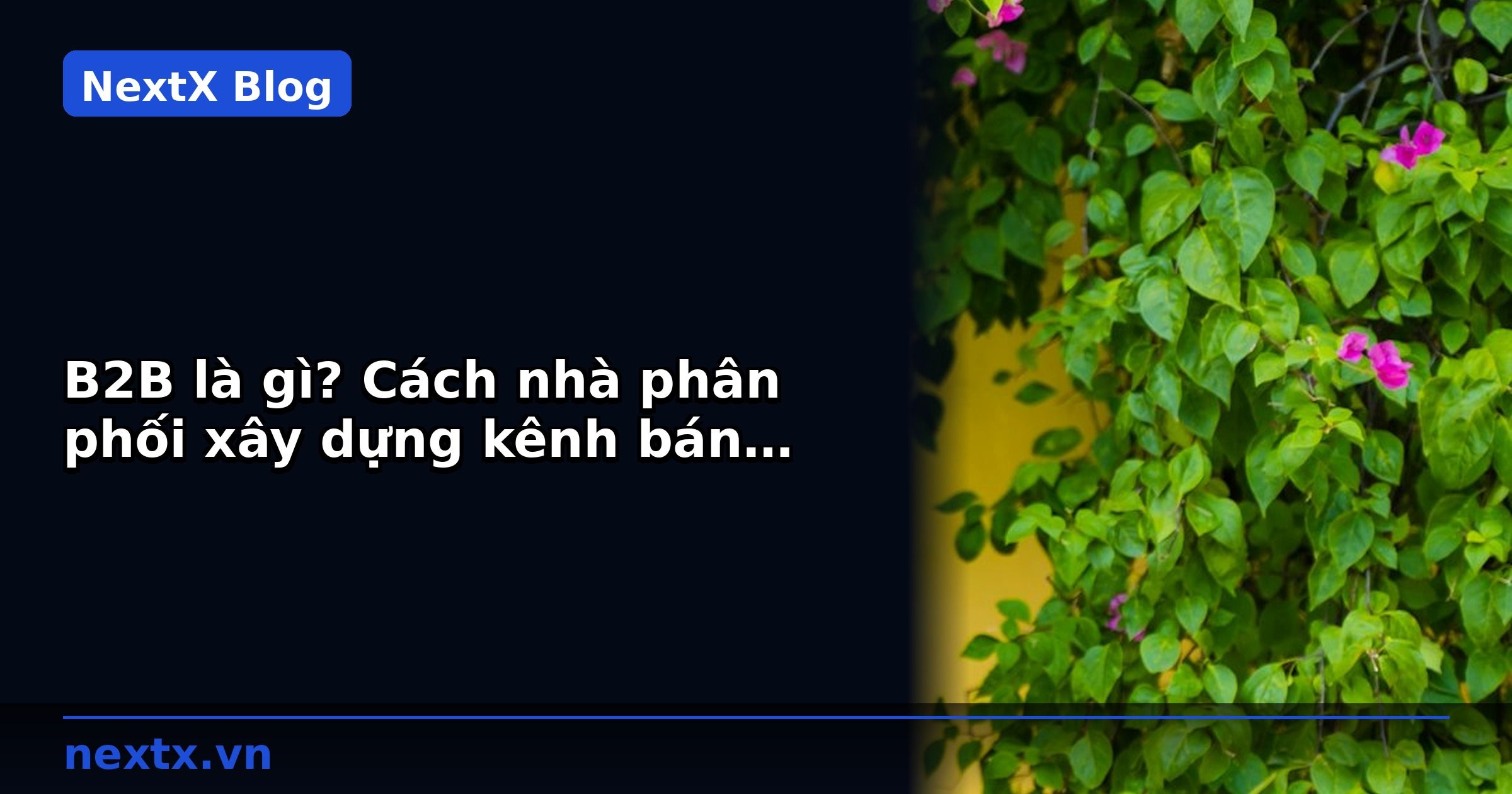 B2B là gì? Cách nhà phân phối xây dựng kênh bán buôn bền vững | NextX