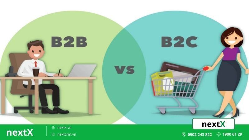 B2B và B2C