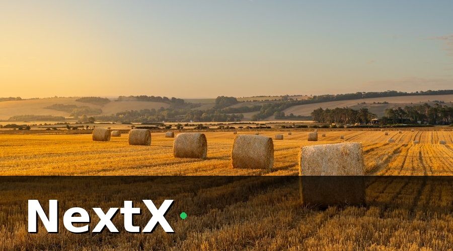 NextX — Báo cáo doanh thu nông trại là gì và tại sao quan trọng?