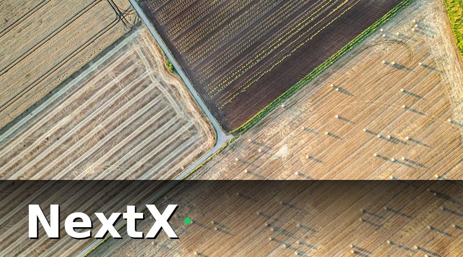 NextX — Cấu trúc mẫu báo cáo doanh thu nông trại