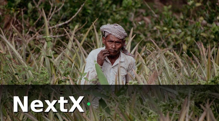 NextX — 5 chỉ số cần theo dõi trong báo cáo doanh thu nông trại