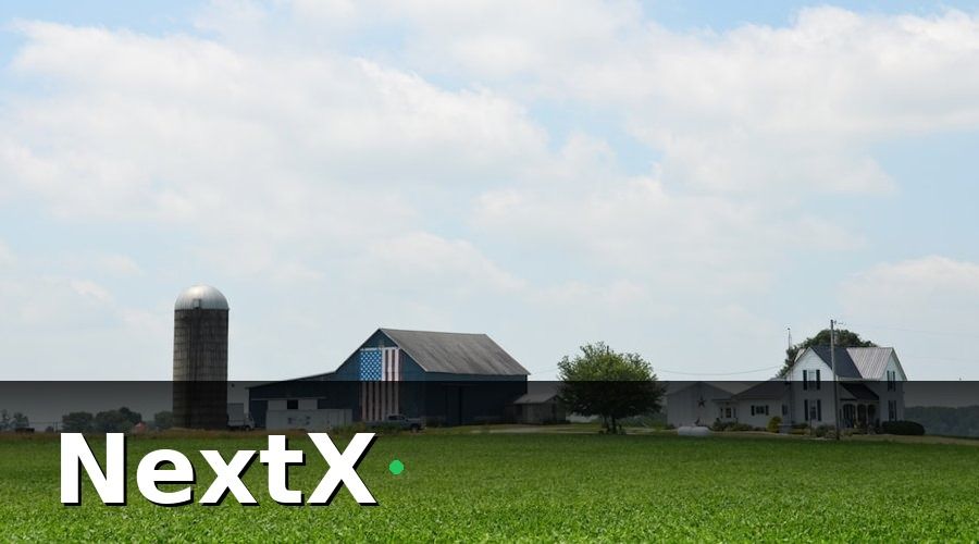 NextX — Cấu trúc mẫu báo cáo doanh thu trang trại