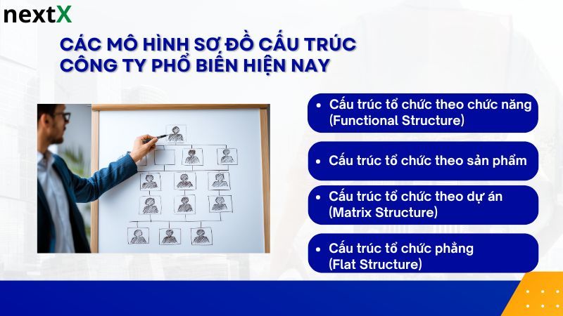 Các mô hình sơ đồ cấu trúc công ty phổ biến hiện nay