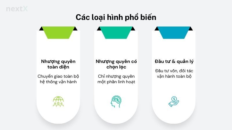 Các loại hình phổ biến hiện nay 