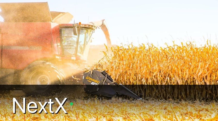 NextX — Kết Quả Đo Được Sau 6 Tháng Vận Hành
