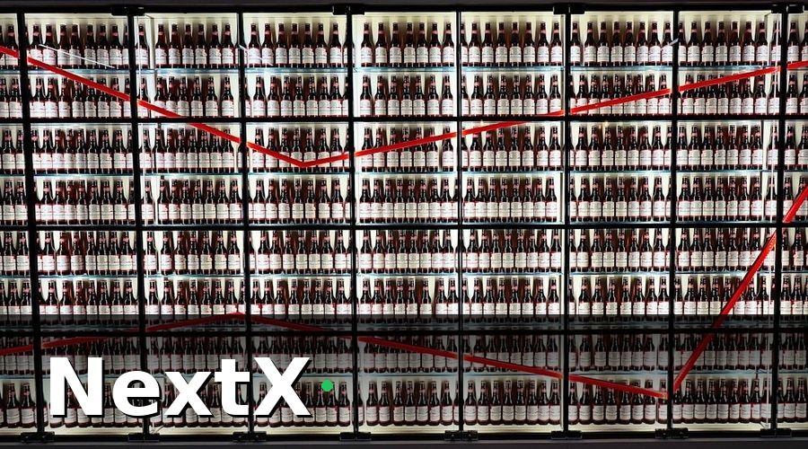 NextX — Kết Quả Sau 6 Tháng Triển Khai