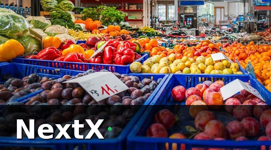 NextX — Kết Quả Sau 90 Ngày Vận Hành Thực Tế