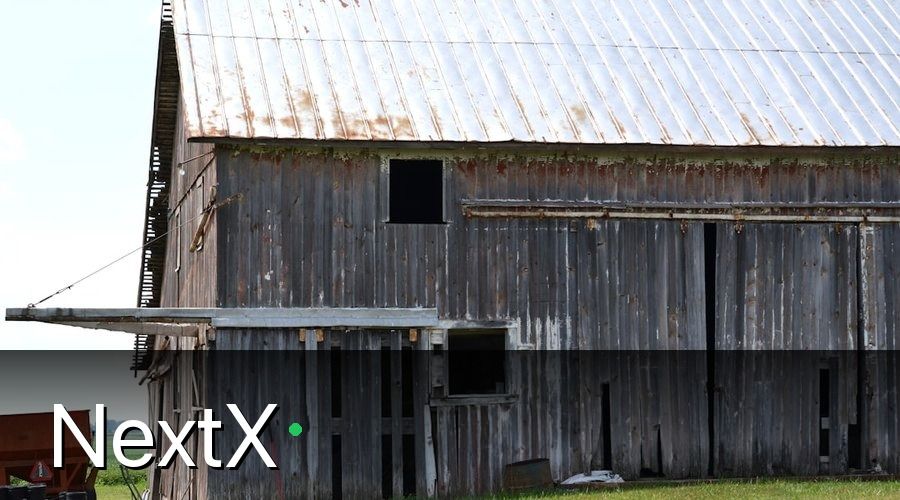 NextX — Bức Tranh Ban Đầu: Nông Trại Chạy Tốt Nhưng Lợi Nhuận Mỏng