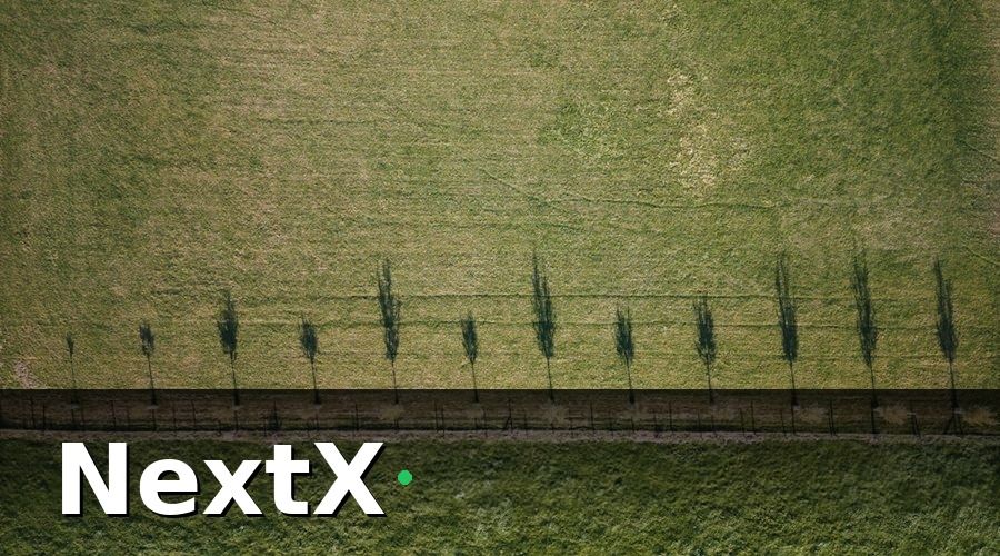 NextX — 3. Kết Quả Đo Lường Sau 6 Tháng: Những Con Số Biết Nói