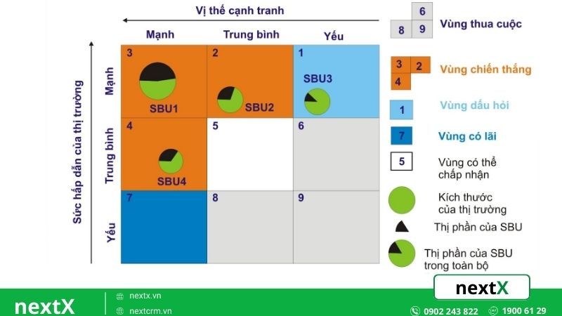 Ví dụ cấu trúc ma trận trong sơ đồ tổ chức công ty