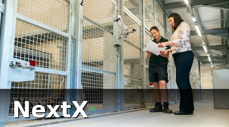 NextX — CDP là gì và tại sao doanh nghiệp bán buôn cần CDP?