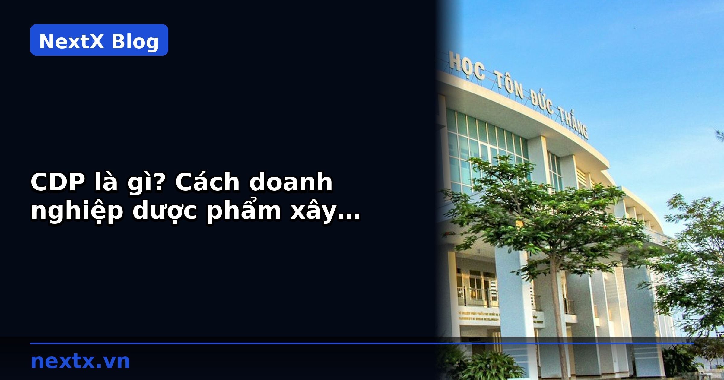 CDP là gì? Cách doanh nghiệp dược phẩm xây dựng hồ sơ khách hàng B2B 360° | NextX