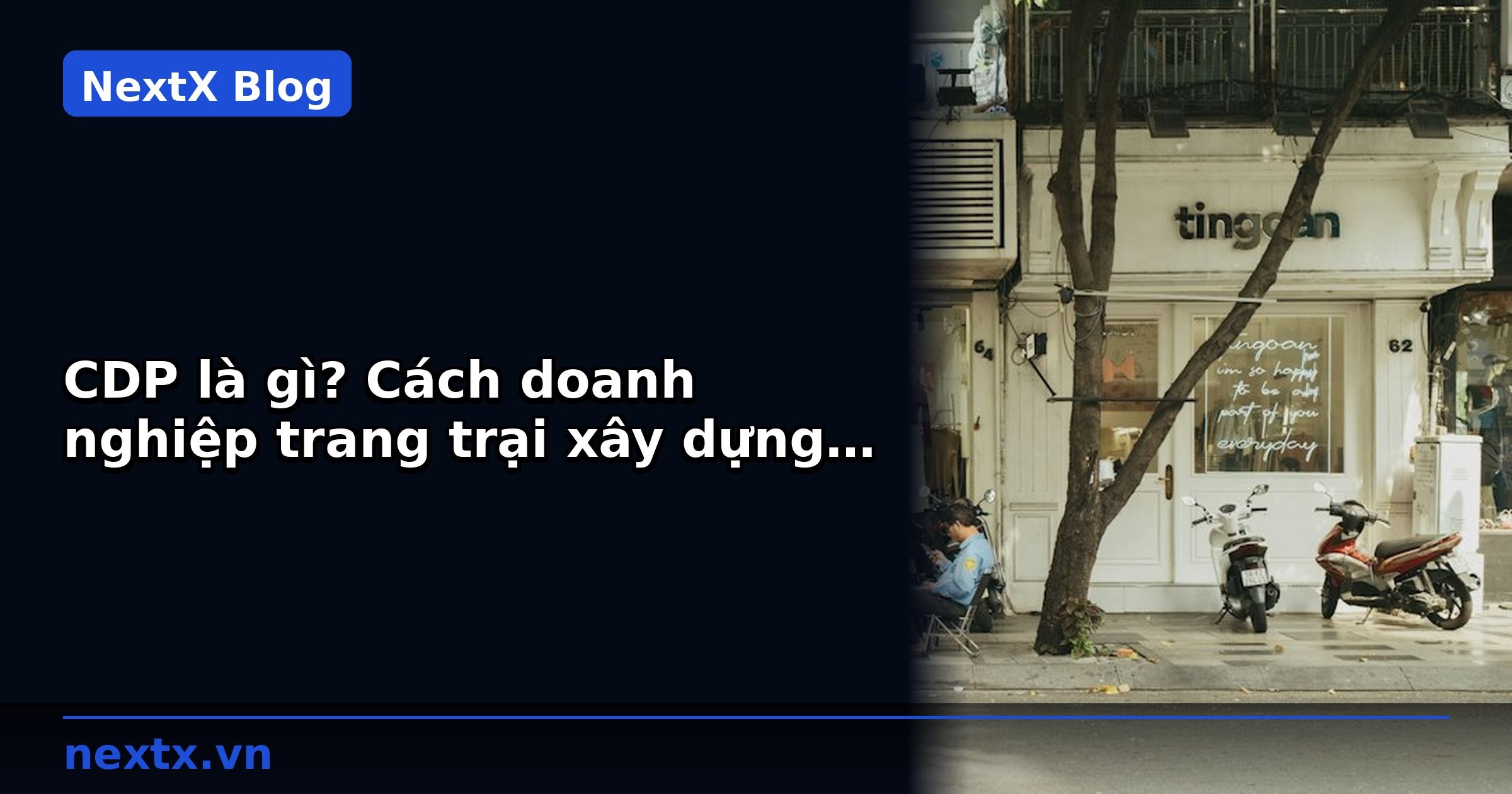 CDP là gì? Cách doanh nghiệp trang trại xây dựng hồ sơ khách hàng B2B 360° | NextX