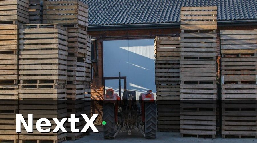 NextX — CDP là gì và vai trò trong chuỗi cung ứng nông sản?