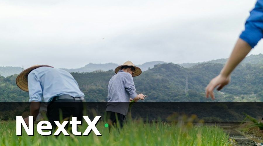 NextX — Tại sao doanh nghiệp trang trại cần CDP?