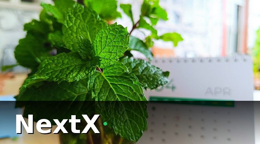 NextX — Chiến lược nuôi lead BĐS 6–12 tháng theo từng giai đoạn