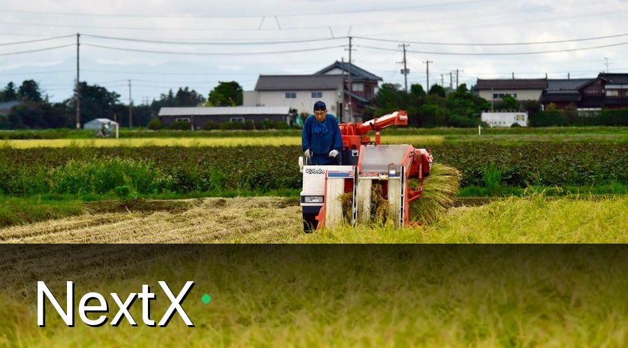 NextX — Kịch Bản Tái Mua Dành Cho Nông Trại: 5 Giai Đoạn Vàng