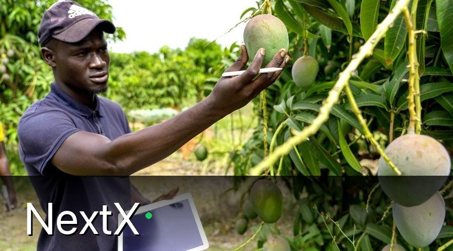NextX — Công Cụ Hỗ Trợ Chăm Sóc Khách Hàng Nông Trại