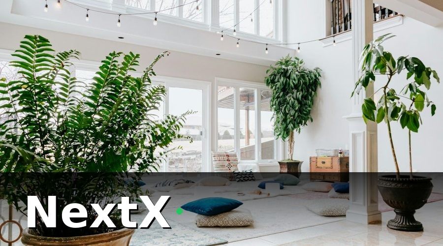 NextX — 1. Xác định nhu cầu thực tế của phòng yoga