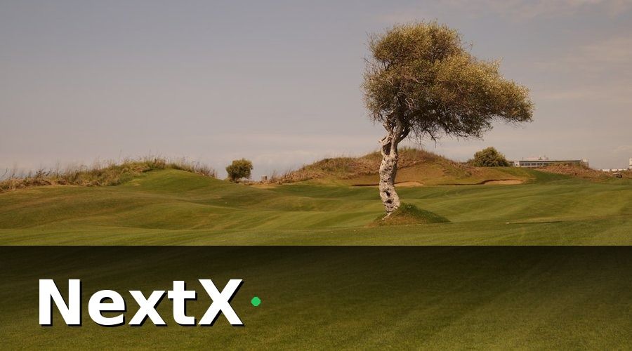 NextX — 3. Chi phí thiết kế và xây dựng sân golf
