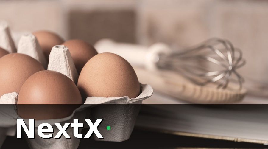 NextX — 3. Chi Phí Thiết Bị Và Máy Móc Làm Bánh