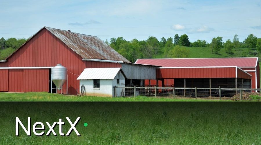 NextX — 1. Tổng quan các hạng mục chi phí mở trang trại