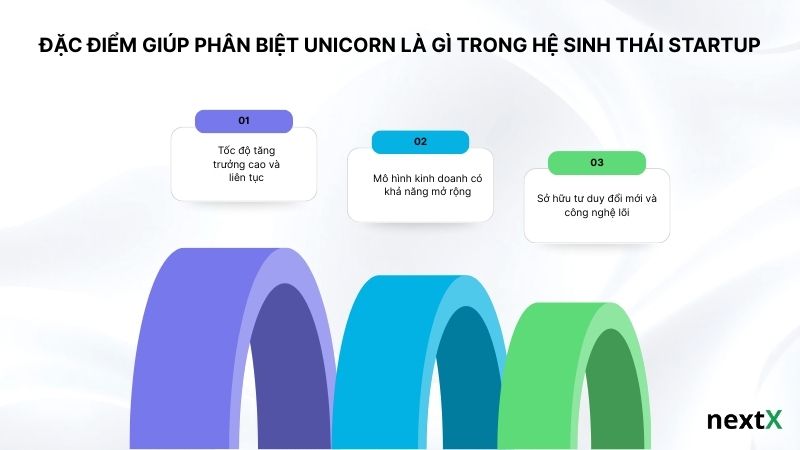 Đặc điểm giúp phân biệt Unicorn là gì trong hệ sinh thái startup
