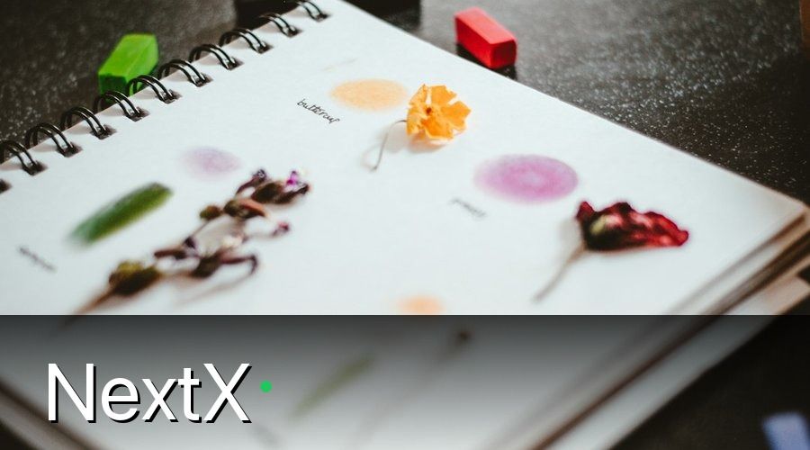 NextX — 2. Khung giáo trình đào tạo team bệnh viện tư nhân 2026