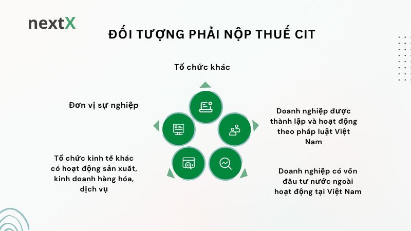 Đối tượng phải nộp thuế CIT