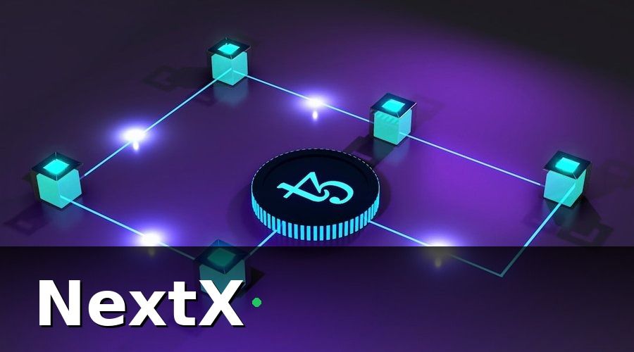 NextX — Các loại hosting phần mềm phổ biến cho doanh nghiệp bảo hiểm