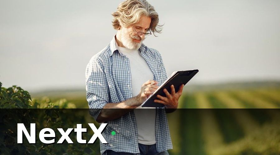 NextX — 2. Lộ Trình Số Hóa Nông Trại Theo 4 Giai Đoạn