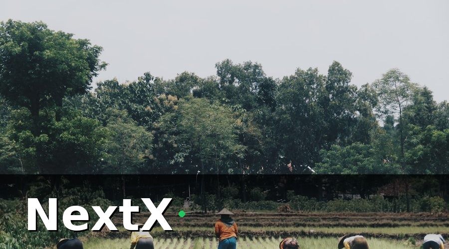 NextX — 3. Những Bài Học Kinh Nghiệm Đắt Giá Từ Nông Trại Thực Tế