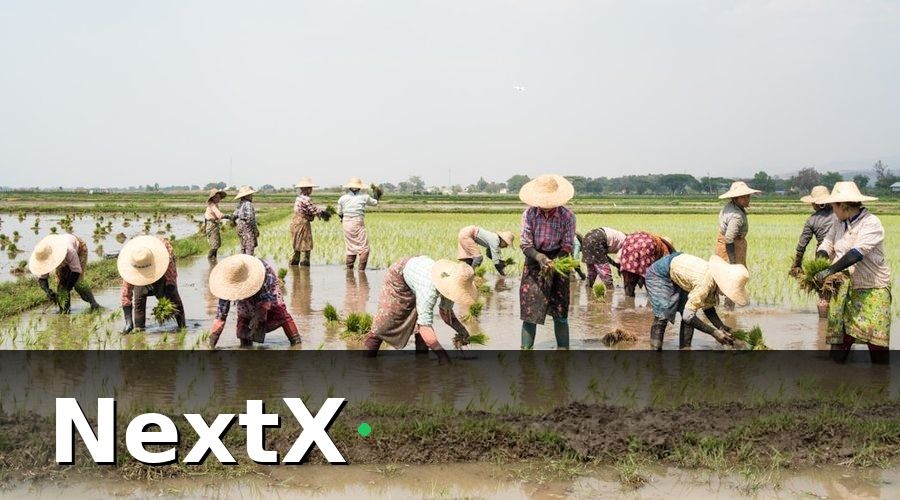NextX — 3. Bài Học Số 2: Chọn Công Cụ Phù Hợp Với Quy Mô Thực Tế