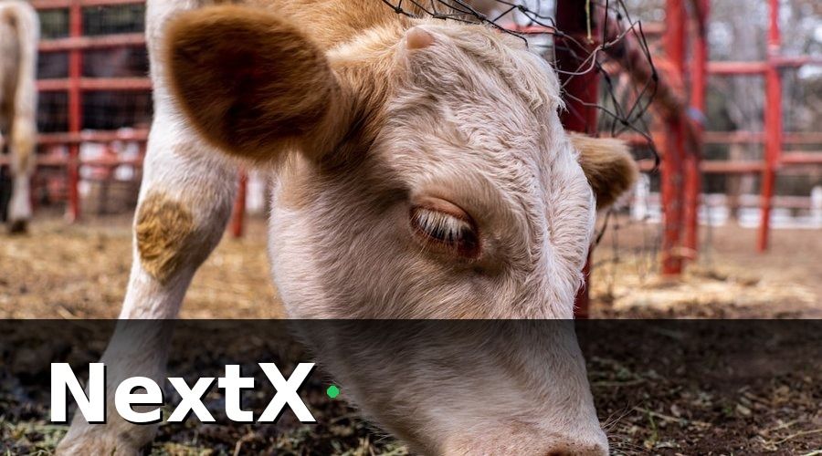 NextX — Nhóm KPI sản xuất — đo lường đầu ra hàng ngày