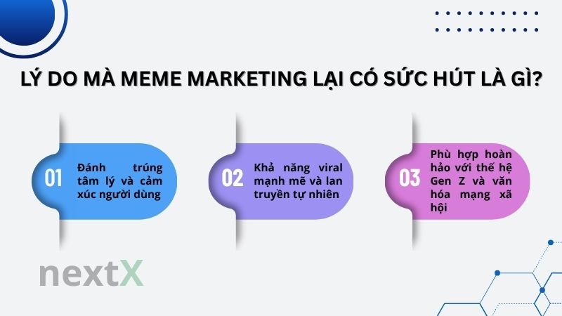 Lý do meme marketing có sức hút là gì?