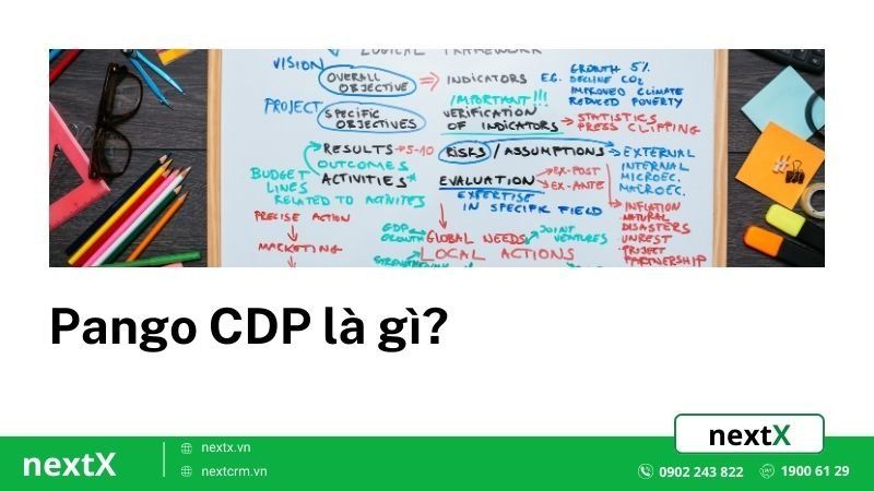 7 cách sử dụng Pango CDP giúp chuyển đổi dữ liệu rút gọn và nhanh nhất
