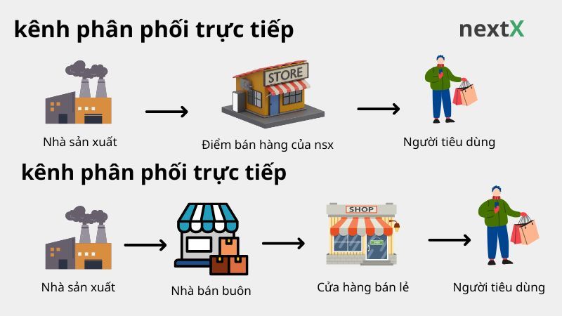 Phân phối trực tiếp và gián tiếp