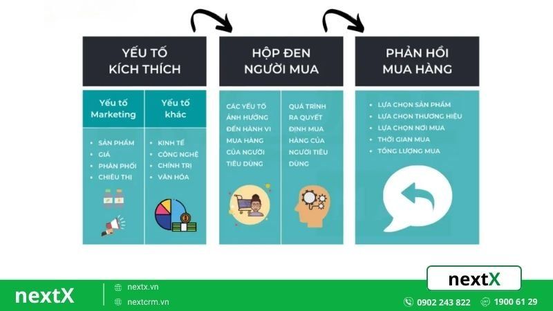 Phân tích nhu cầu khách hàng qua hành vi người mua