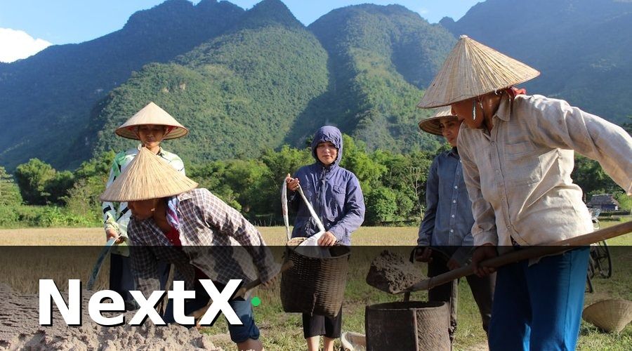 NextX — So Sánh Các Giải Pháp Tổng Đài Ảo Phổ Biến Tại Việt Nam 2026