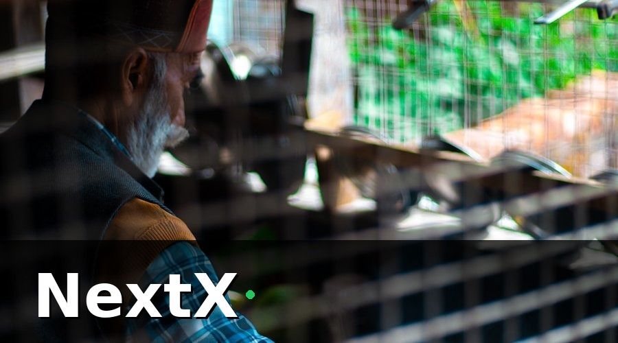 NextX — 2. Quy Trình Xếp Ca Cho Nhân Viên Trang Trại — 5 Bước Thực Tế