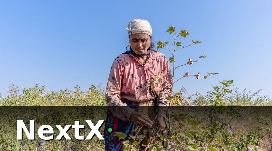 NextX — Tại sao telesale trang trại khác với telesale thông thường?