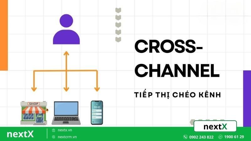 Tiếp thị sản phẩm theo chiều ngang kết hợp nhiều kênh