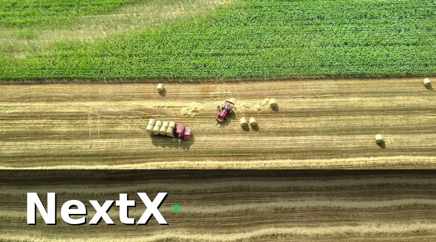 NextX — Bước 1: Chuẩn bị dữ liệu khách hàng B2B