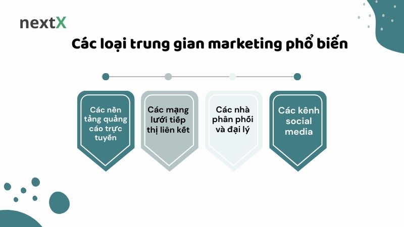Các loại trung gian marketing phổ biến 